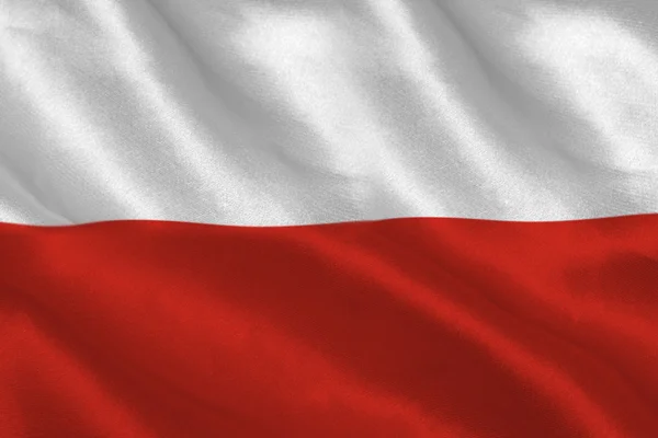 TEST MENU PL
